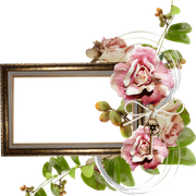 cluster-frame-204