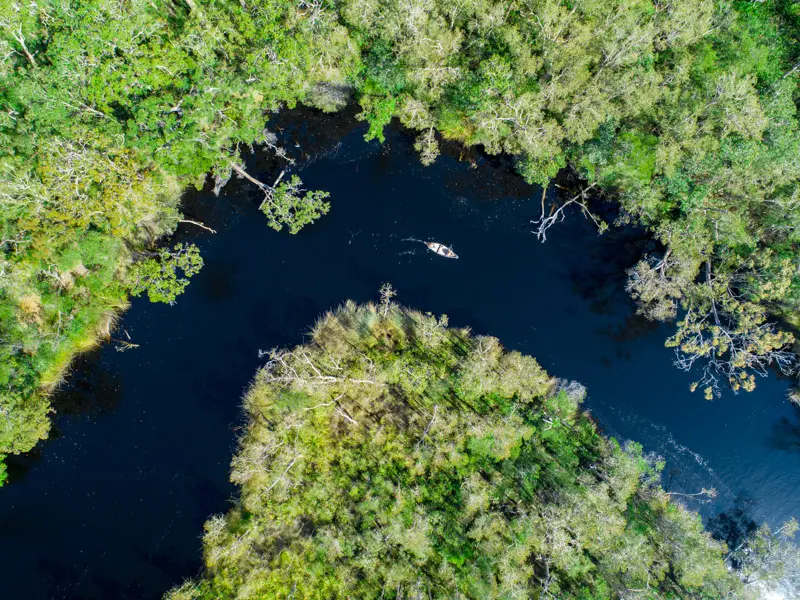 The Noosa Everglades: A Serene River of Mirrors