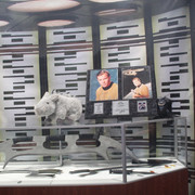 IMG 5659