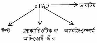 ব্যাখ্যার চিত্র