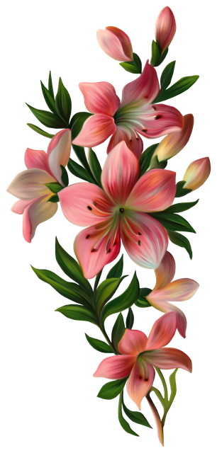 pngwing com (9).png