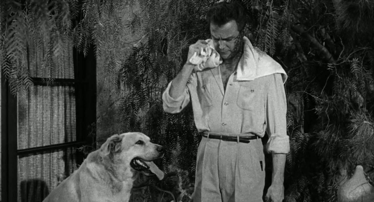 The She-Creature Screenshot