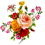 577f3cf808e49c4f7550bba2eceaa709