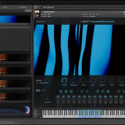 Native Instruments - Leap House Grooves (KONTAKT) - сэмплы Kontakt