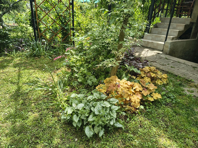 garden4.jpg