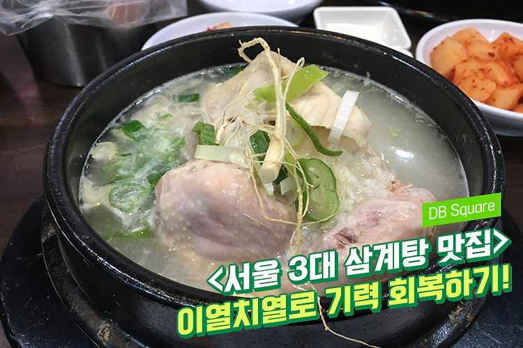 줄 서서 먹는 그 맛, 삼계탕 맛집 BEST!