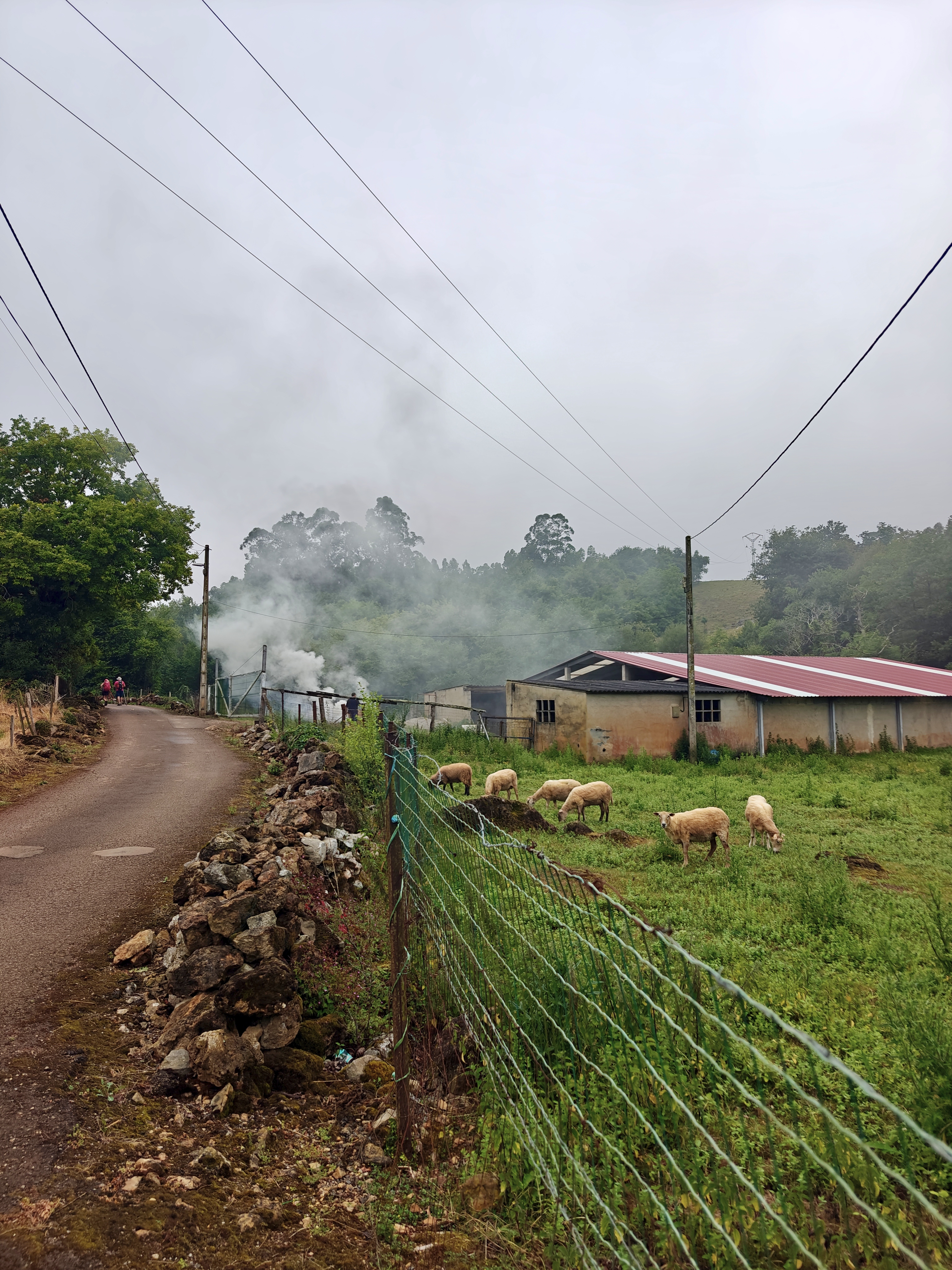 Dag 13 - Santillana del Mar 🥏 Comillas 2
