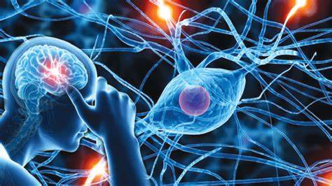 5 Common Neurological Disorders Affecting the Elderly