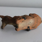 IMG-6637