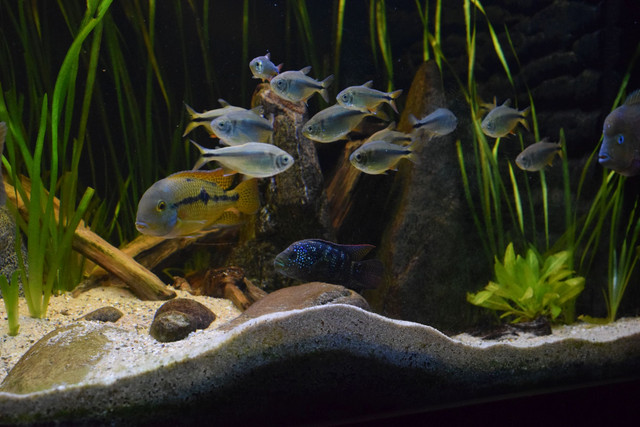 apr2018208.jpg