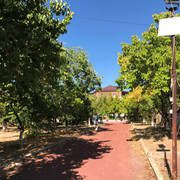 IMG-1105