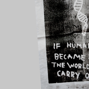 header12
