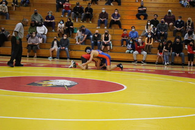 IMG-0289