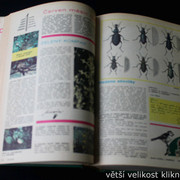 IMG-2467