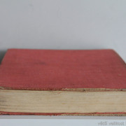 IMG-7440