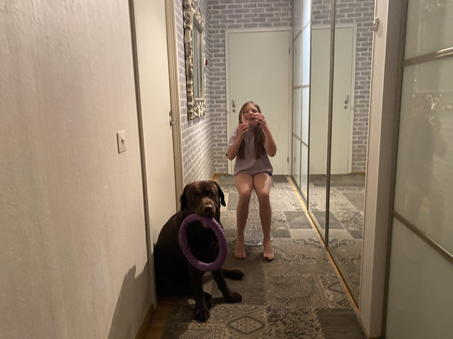 F105-EEB0-6722-44-D9-91-BA-73-BA28386435