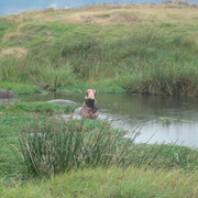 DSC02178