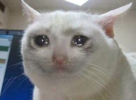 Cat-Sad.jpg