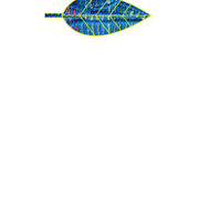 Page-00032
