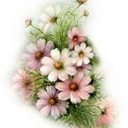 sonieames-flowers