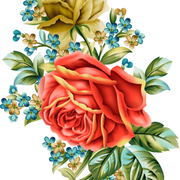 00945-copy-2