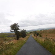 DSCF9121