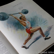 IMG-5536