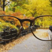 seeing-nyc.gif