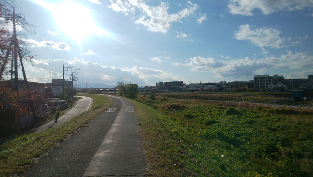 IMG-20221116-144041.jpg