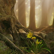 2019-Foret