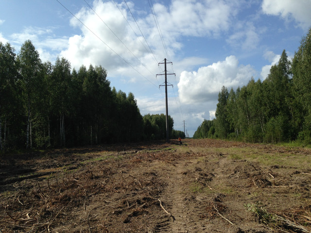 IMG-3959