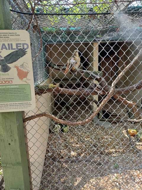 zoo6