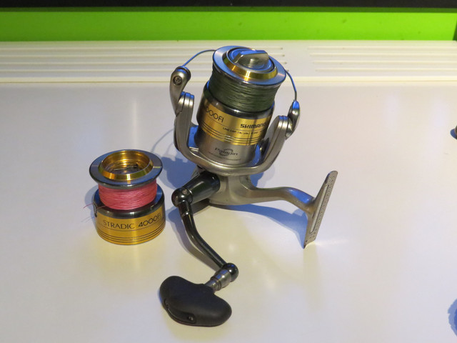 IMG 3101