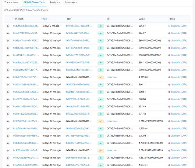 bscscan-com-address-0x7e52bc3ceb6ff7bd062f9a74650f9ce17433e2f2
