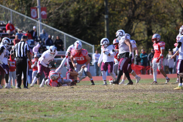 IMG-1520