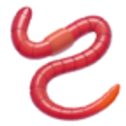 worm-1fab1
