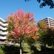2022-11-04-10
