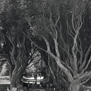 IMGP8421