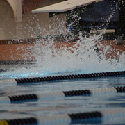 IMG-0229