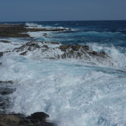 DSCF8210
