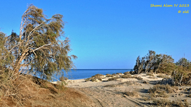 P1290067.jpg