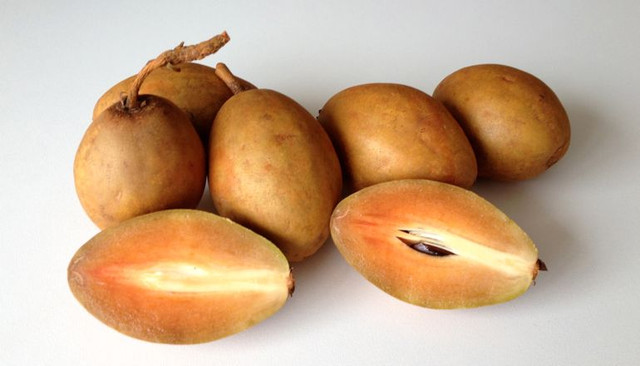 sapodilla
