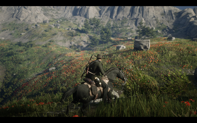 rdr2n072