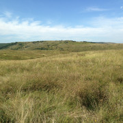 IMG-4082