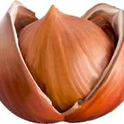 Nut1