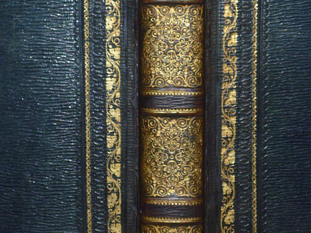 P1230931.jpg