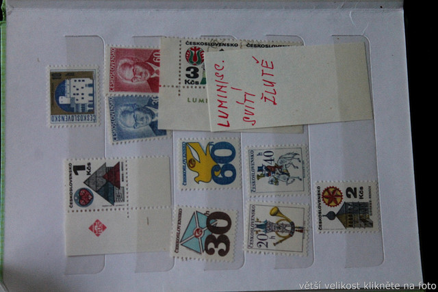IMG-6812.jpg