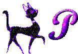 p.gif