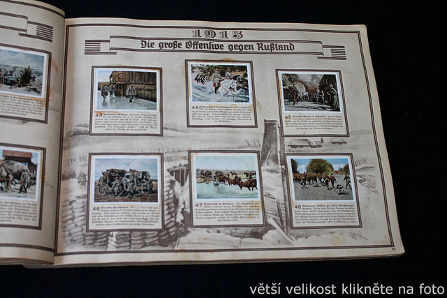 IMG-5719