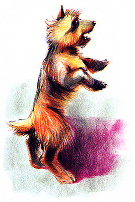 Dog-Podunk.png